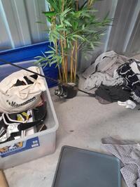 StoreLocal Pimpama  Photo 9