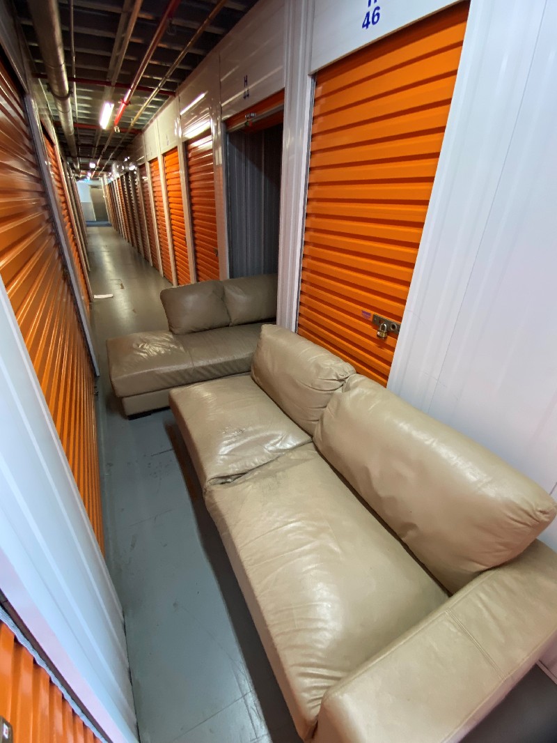 Auction 17101337769831