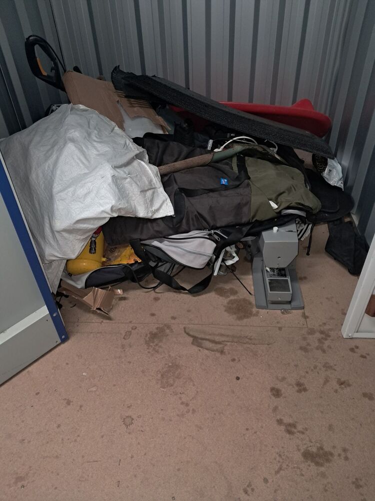 Auction 17273302655509