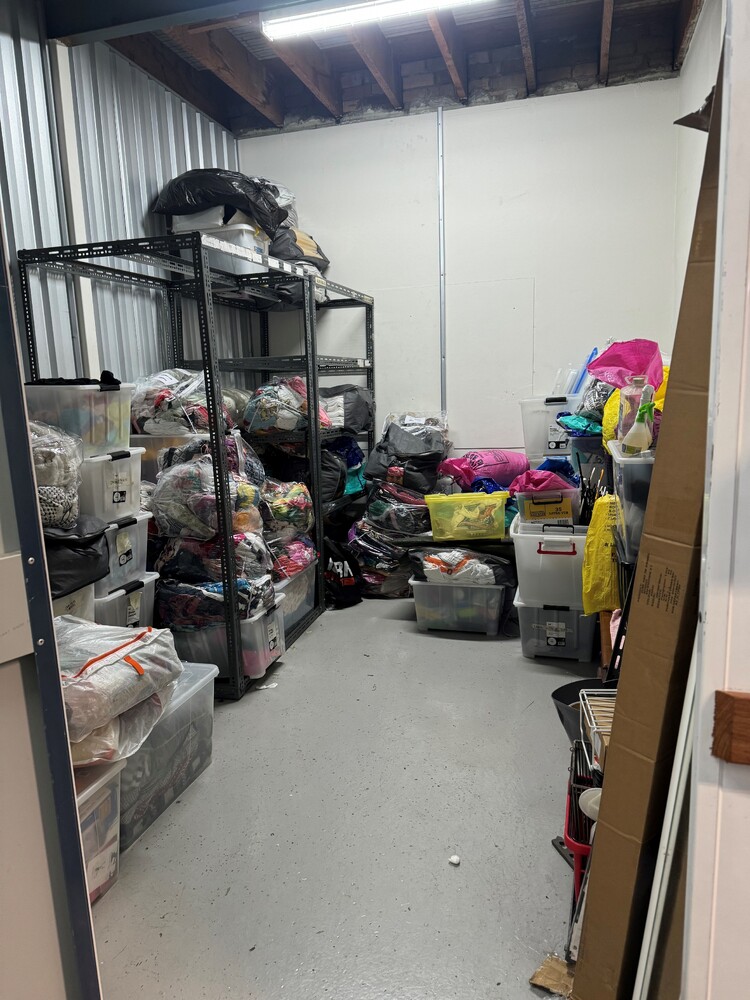 National Storage Auction 17298097926665