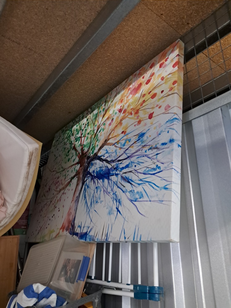 Storage King St Marys Storage Shed Auctions auction IB-6766