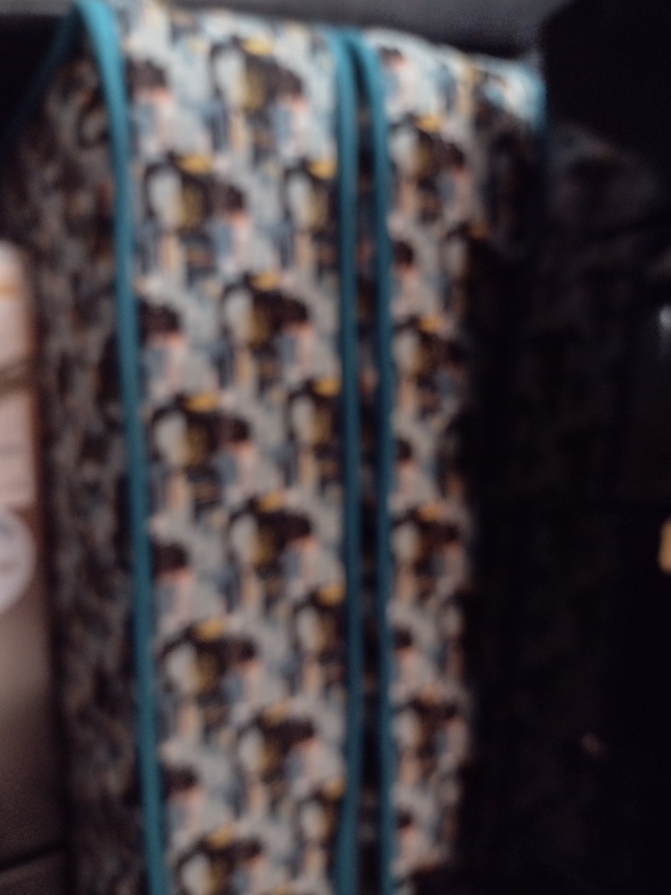 Kennards Self Storage Campbelltown Self Storage auction IB-9009