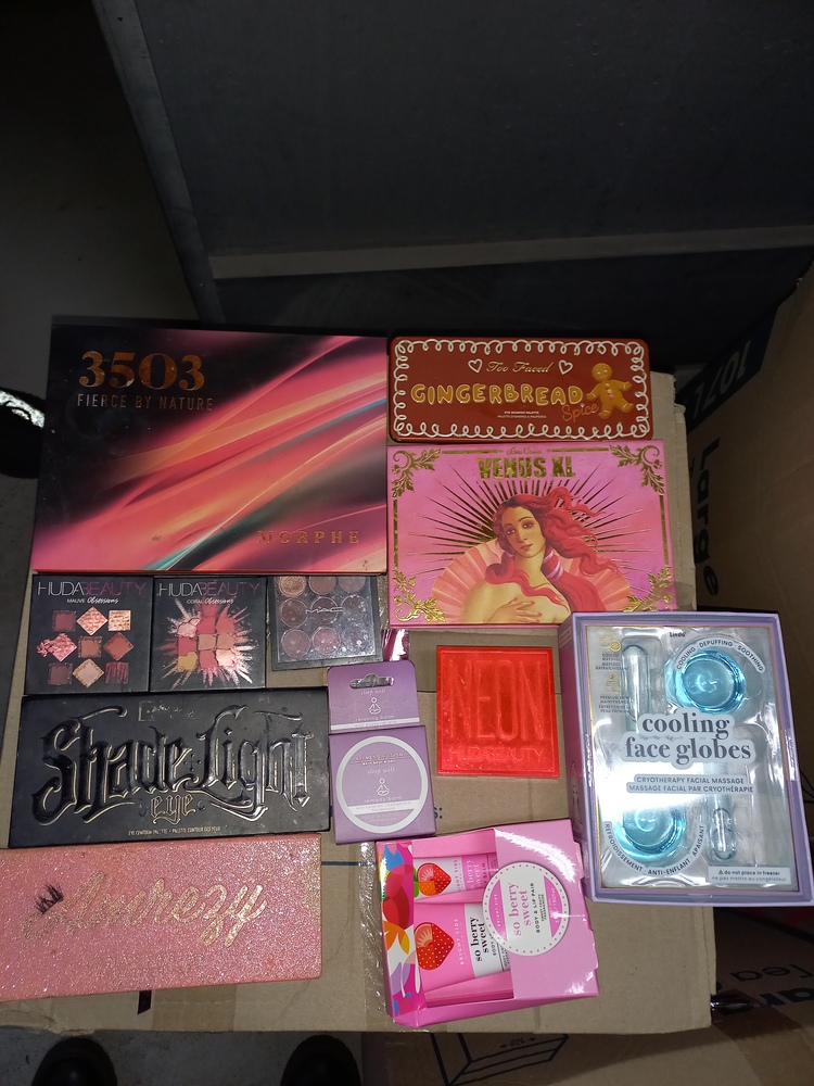 Storage King Alexandria Storage Auctions auction IB-5018