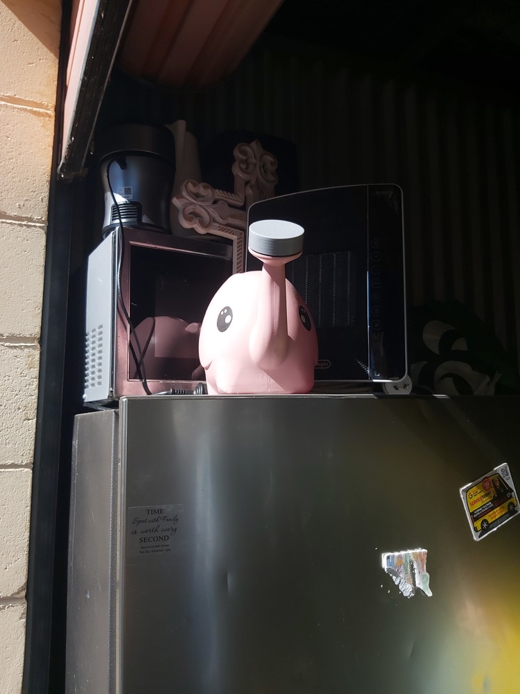 Rent a Space Padstow Abandoned Self Storage Auctions auction IB-3028