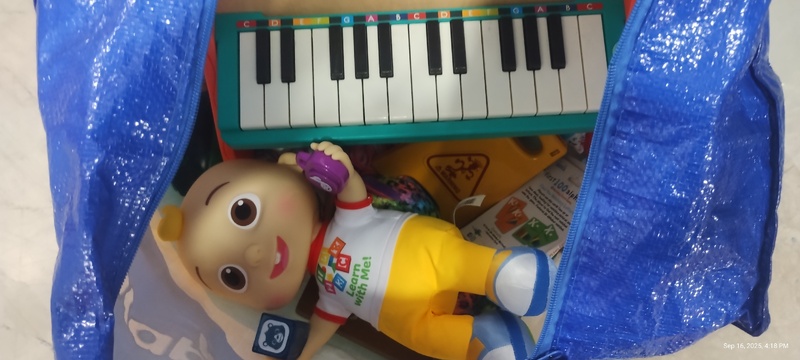 Kennards Self Storage Burleigh Junction Bid on Self Storage Unit auction IB-9848