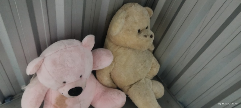 Kennards Self Storage Burleigh Junction Abandoned Self Storage Auctions auction IB-9848