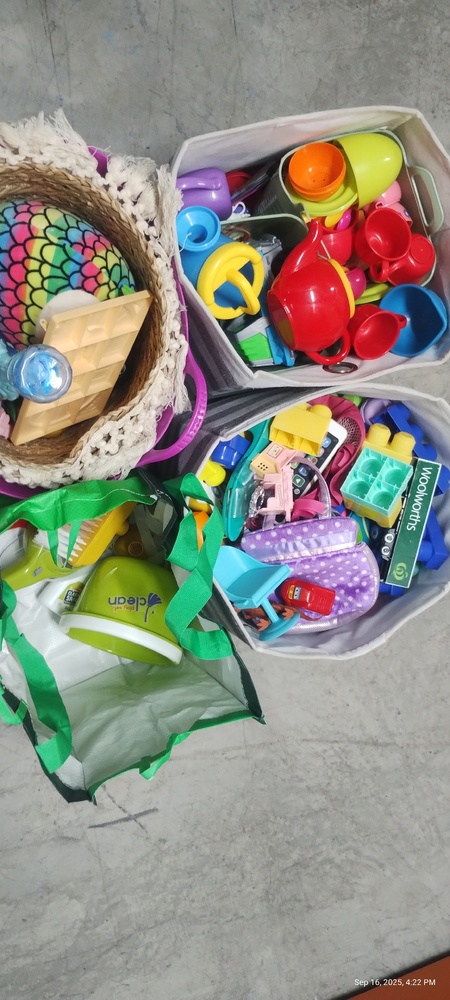 Kennards Self Storage Burleigh Junction Abandoned Storage shed Auctions auction IB-9848