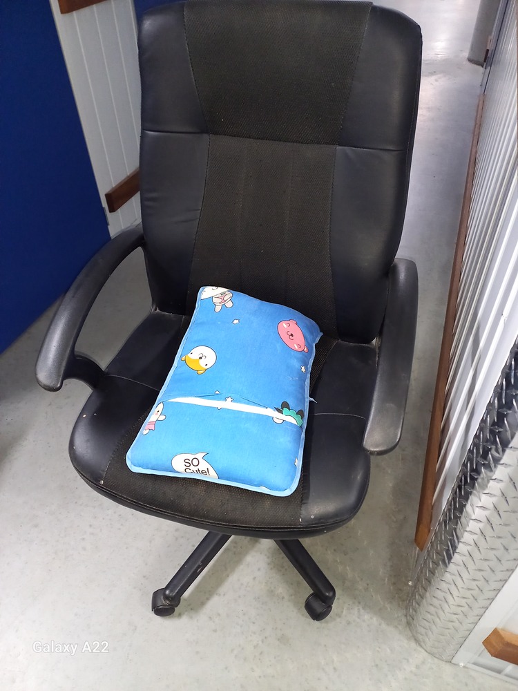 Storage King Moorebank AustraliaÂ Storage Auctions auction IB-5618