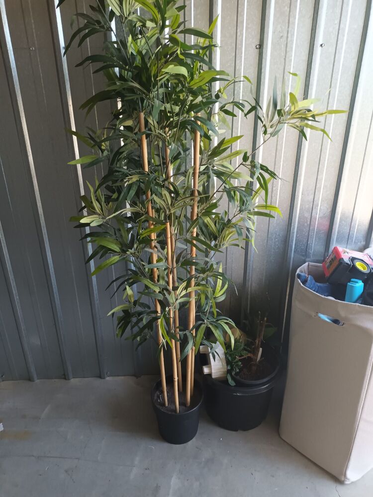 Storage King Frankston Bid on Storage auction IB-9020