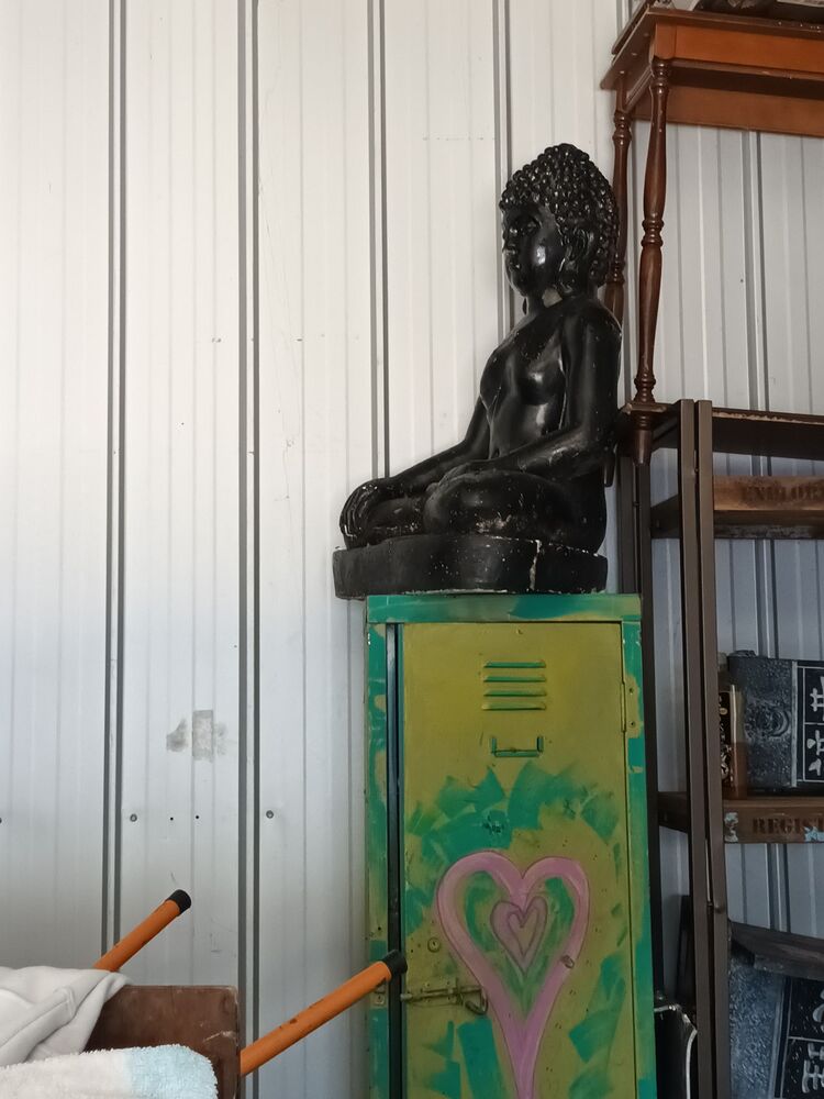 Storage King Frankston Abandoned Storage garage Auctions auction IB-9856