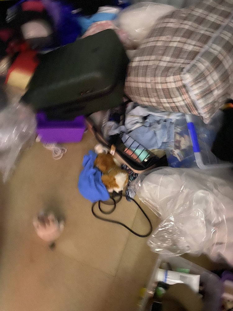 Wilson Storage Bennetts Green Bid on Storage auction IB-5644