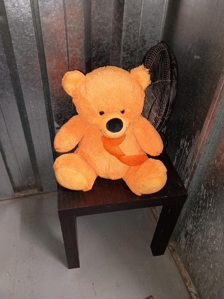 Kennards Self Storage Parramatta Abandoned Self Storage Auctions auction IB-2160