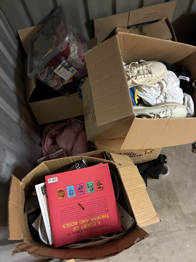 Storage Choice Ipswich  Storage Facility Unit auction IB-6692