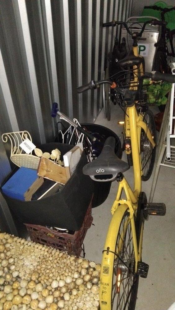 Roomia Self Storage St Marys NSW Bid on Self Storage Unit auction IB-5238