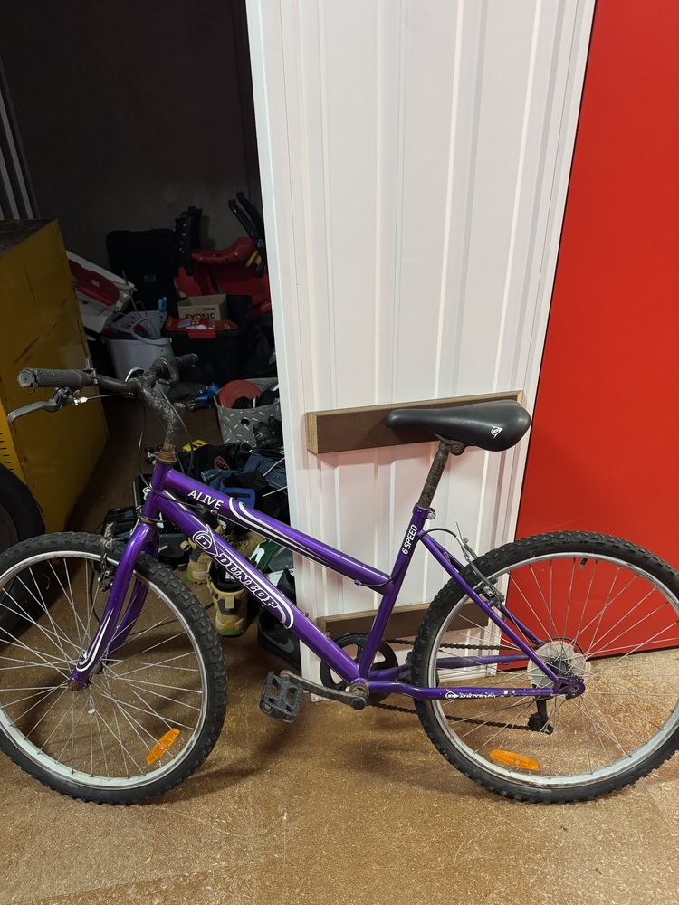 Keepsafe Storage OConnor Abandoned Storage centre Auctions auction IB-2451