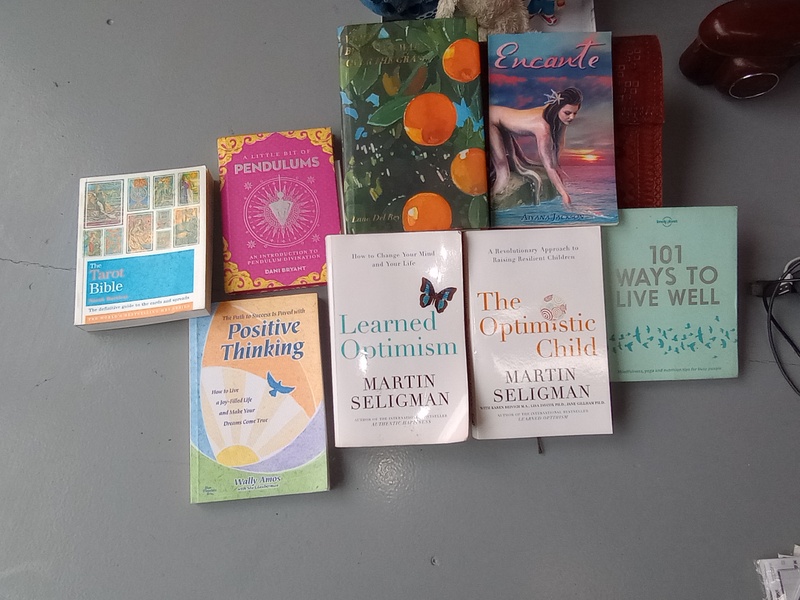 Kennards Self Storage Cranbourne Abandoned Storage shed Auctions auction IB-2144