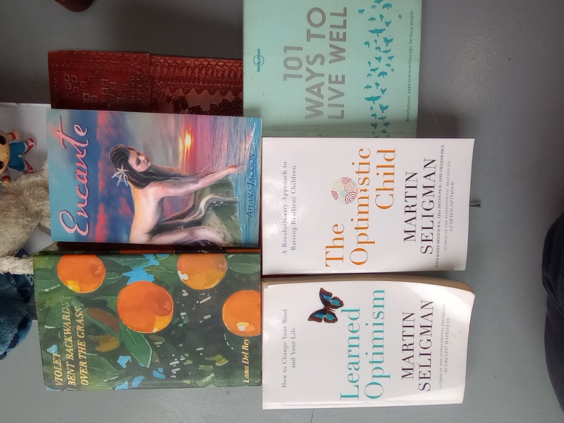 Kennards Self Storage Cranbourne Abandoned Storage Unit Auctions auction IB-2144