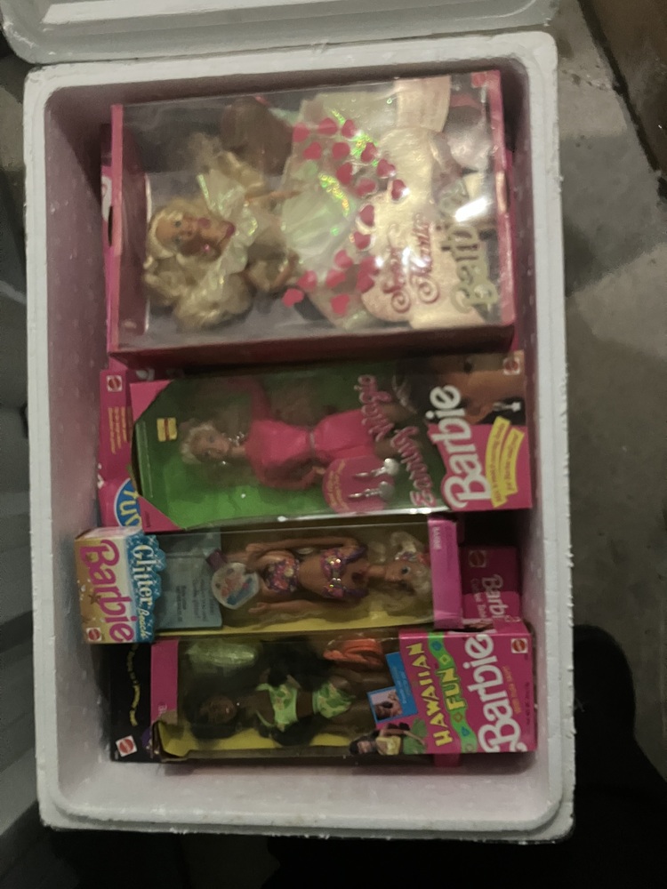 Storage King McGraths Hill Storage auction IB-8367