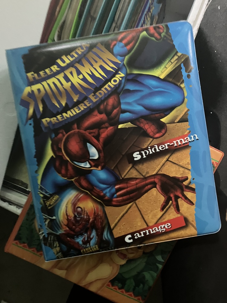 Storage King McGraths Hill Storage Unit auction IB-8367