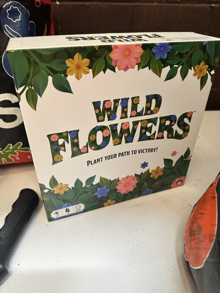 Rent a Space Burwood Self Storage Facility Unit auction IB-5740