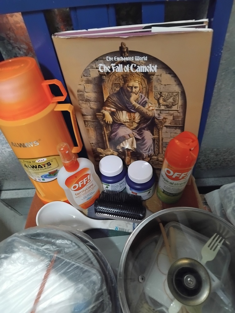 I. Teoh - Private Seller Self Storage Facility Unit auction IB-5696