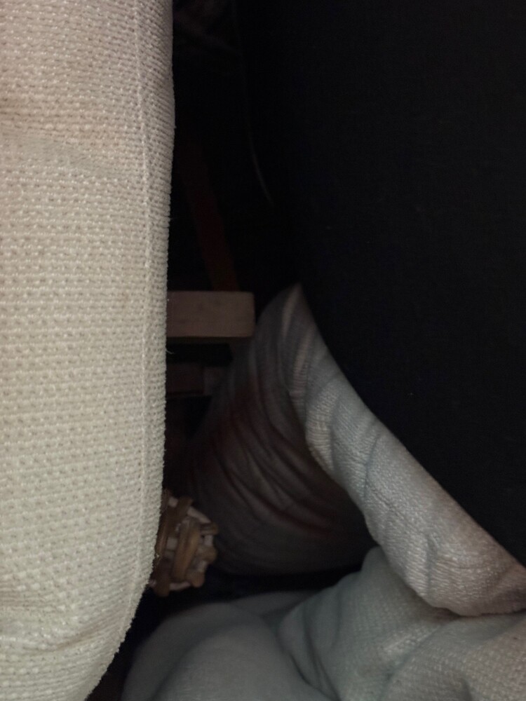 StoreLocal Pacific Pines Storage Unit auction IB-2913