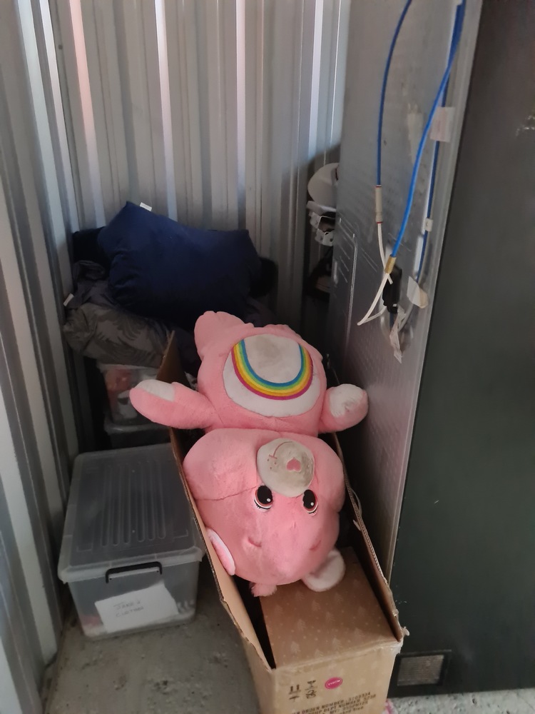 Storage King Woodville North Storage Unit auction IB-3093