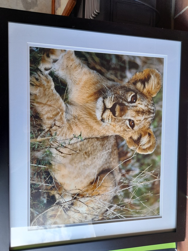 Storage King Maddington Self Storage Unit auction IB-5072