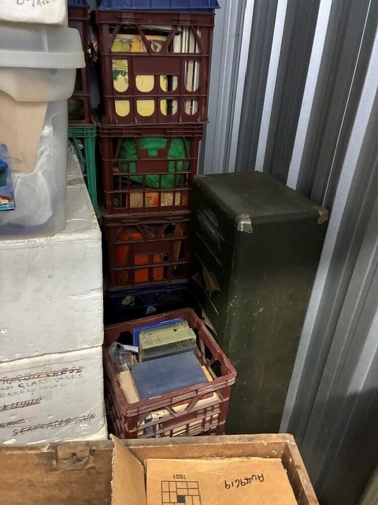 Storage King Rozelle Self Storage Facility Unit auction IB-7042