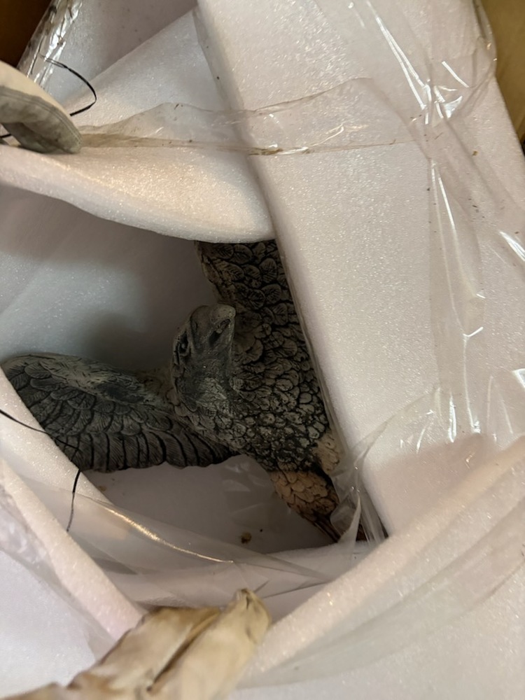 Storage King Kings Park Storage auction IB-7003