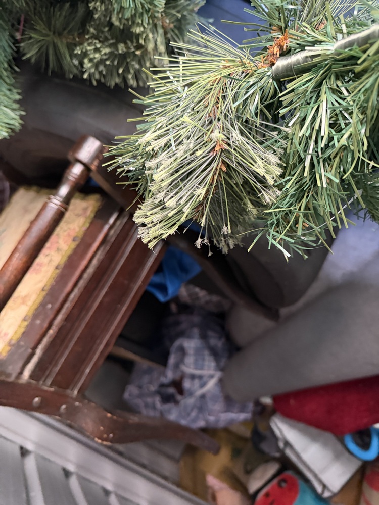 Loxon Storage Caboolture Self Storage auction IB-7632