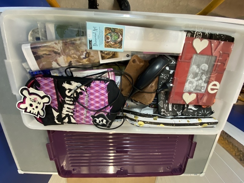 D. Carter - Private Seller Bid on Self Storage Unit auction IB-3229