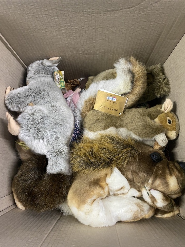 D. Carter - Private Seller Storage centre Auctions auction IB-3229