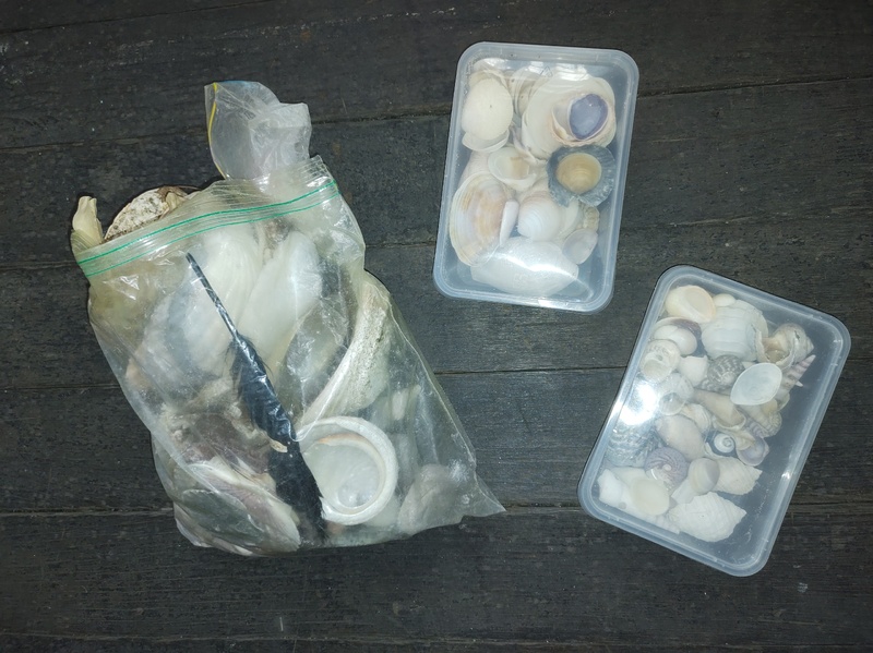 Kennards Self Storage Ultimo 2 Abandoned Storage garage Auctions auction IB-6485