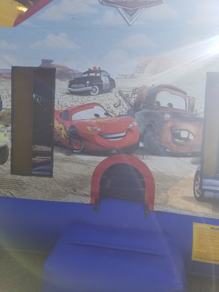 Conroy Removals Sydney Self Storage auction IB-4832