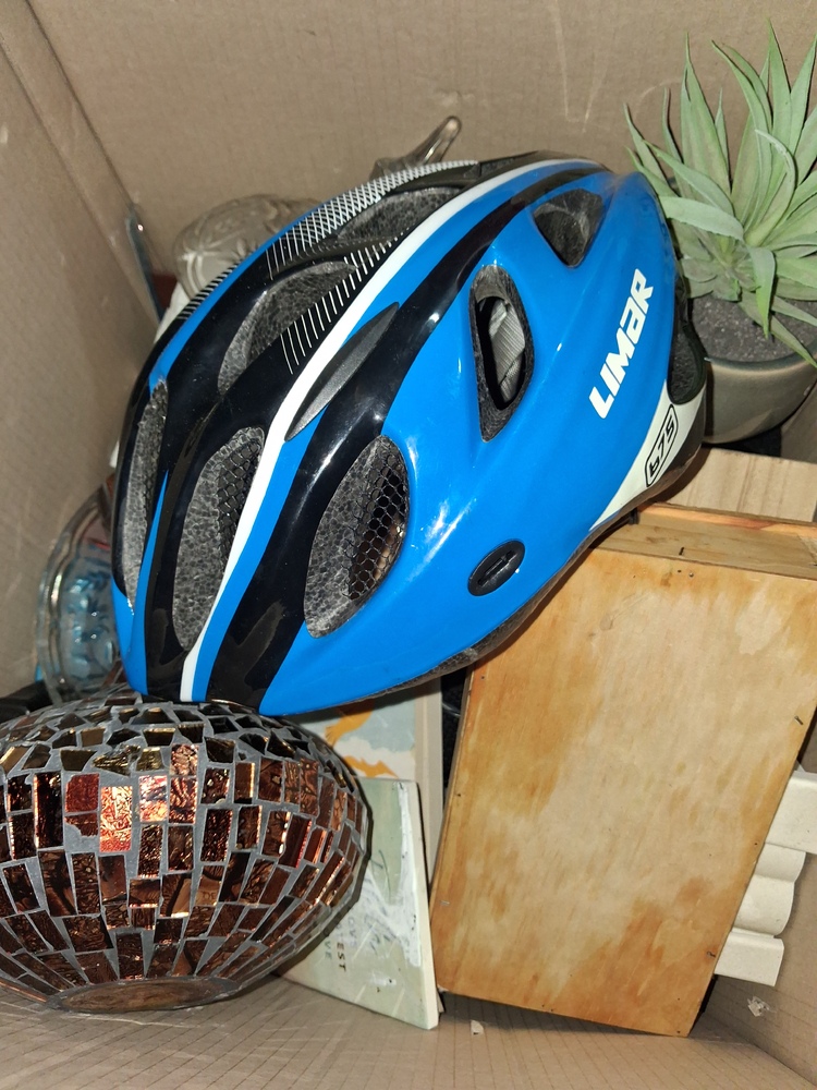 Public Self Storage Hallam Storage Unit auction IB-7221