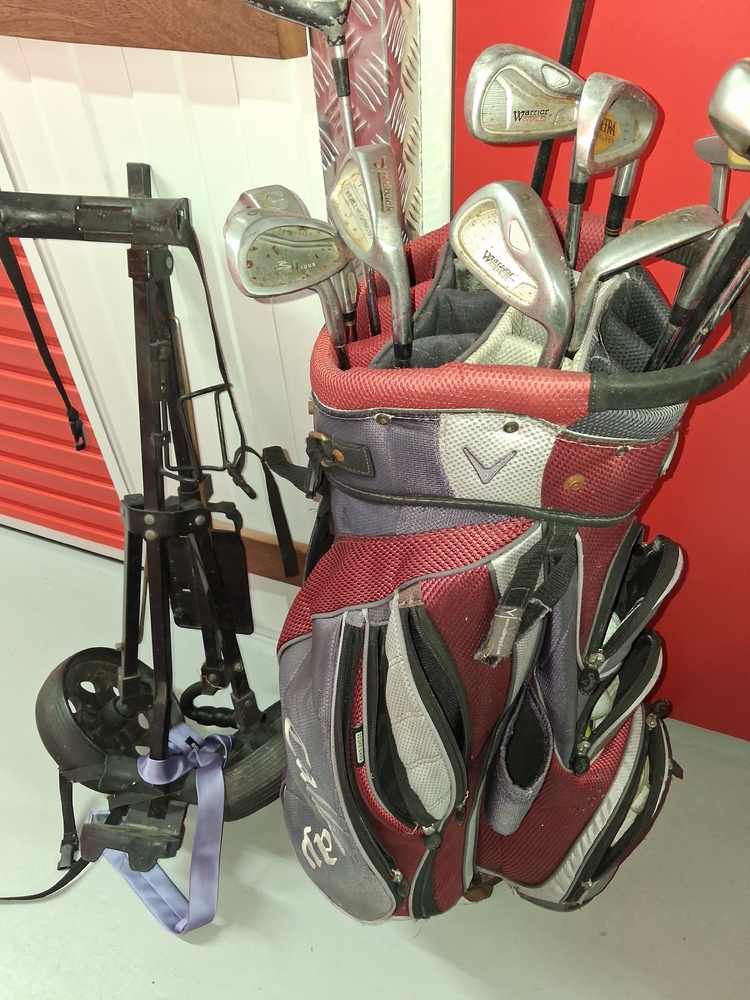 Public Self Storage Hallam Abandoned Storage Unit Auctions auction IB-7221