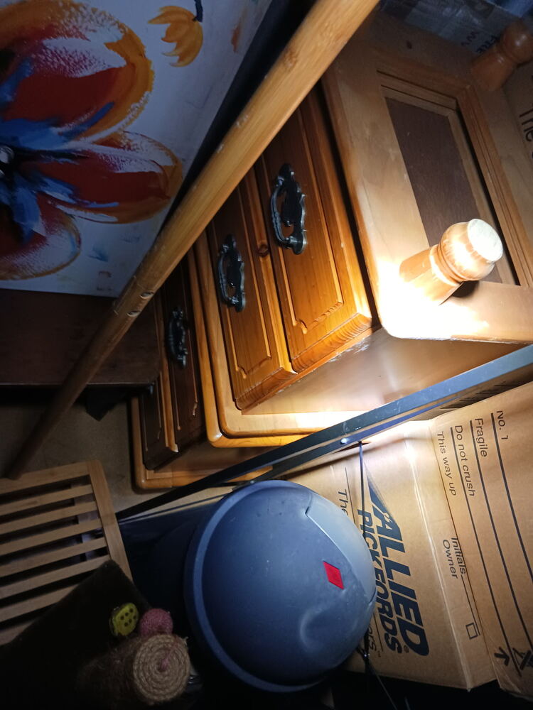 NQ Self Storage Storage Facility Unit auction IB-8841