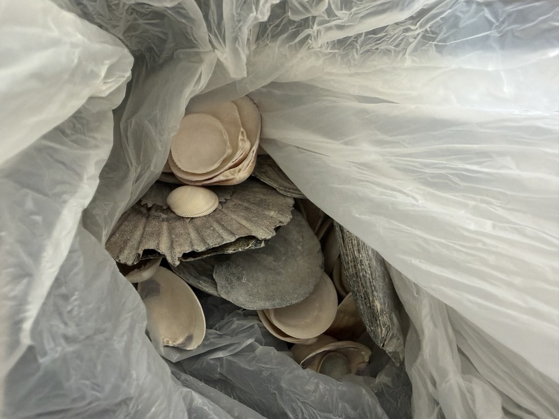 Fort Knox Self Storage Dandenong Storage auction IB-6414