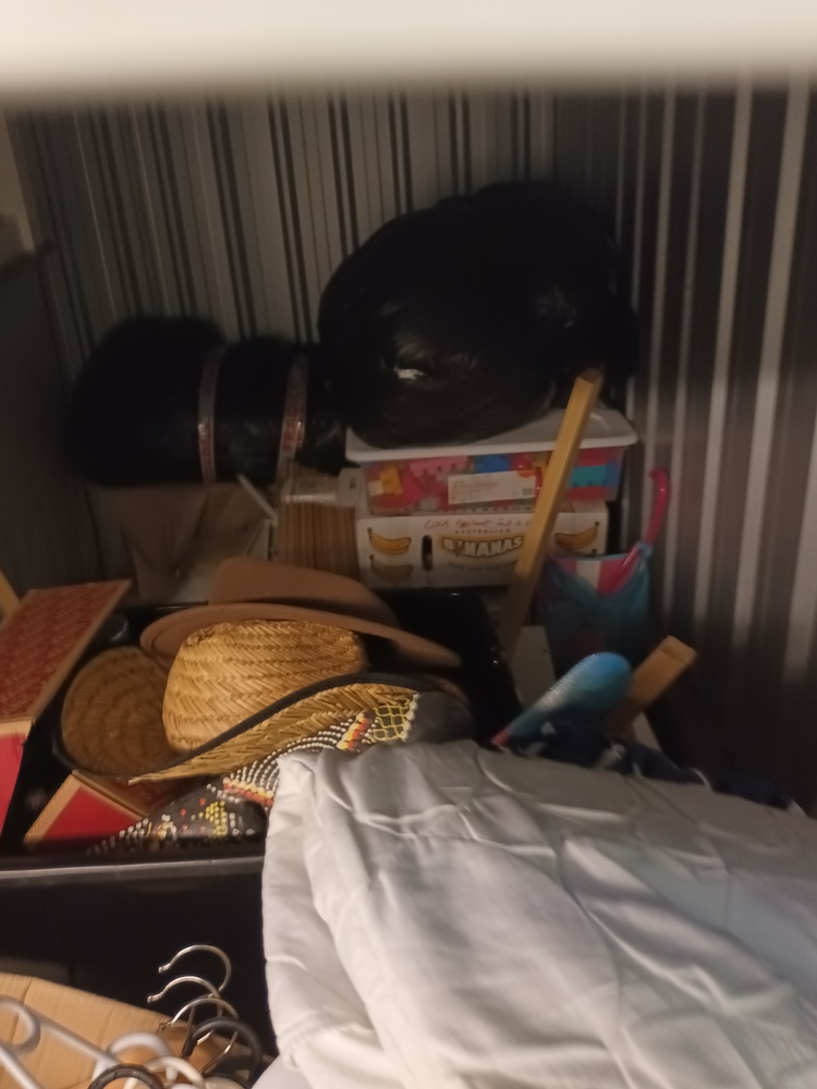 Storage King Browns Plains Self Storage Unit auction IB-6110