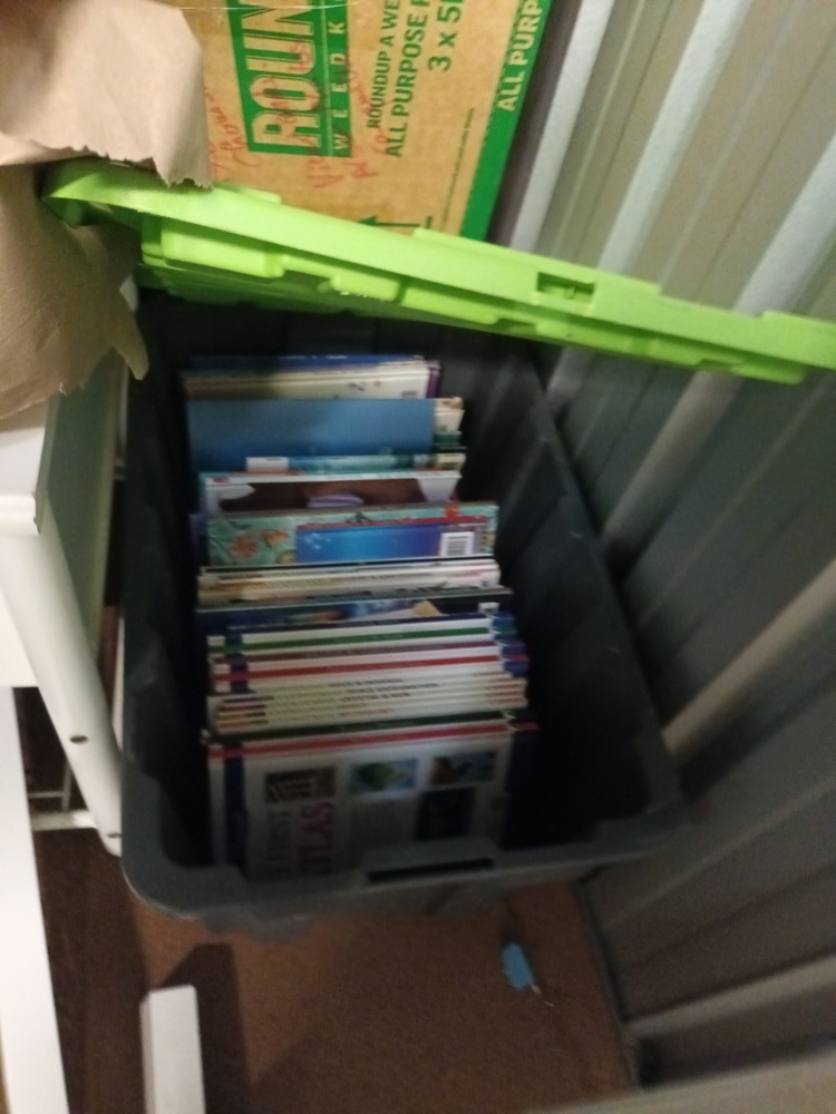 Storage King Browns Plains Abandoned Storage centre Auctions auction IB-6110