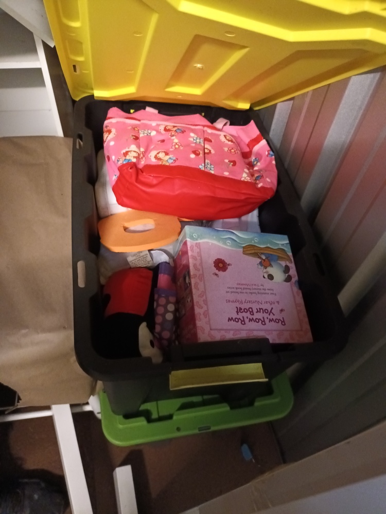 Storage King Browns Plains Abandoned Storage Unit Auctions auction IB-6110