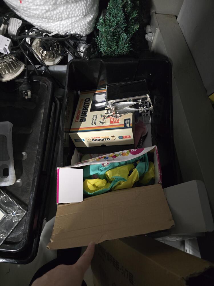 Storage King Redbank Plains Bid on Self Storage Unit auction IB-8805