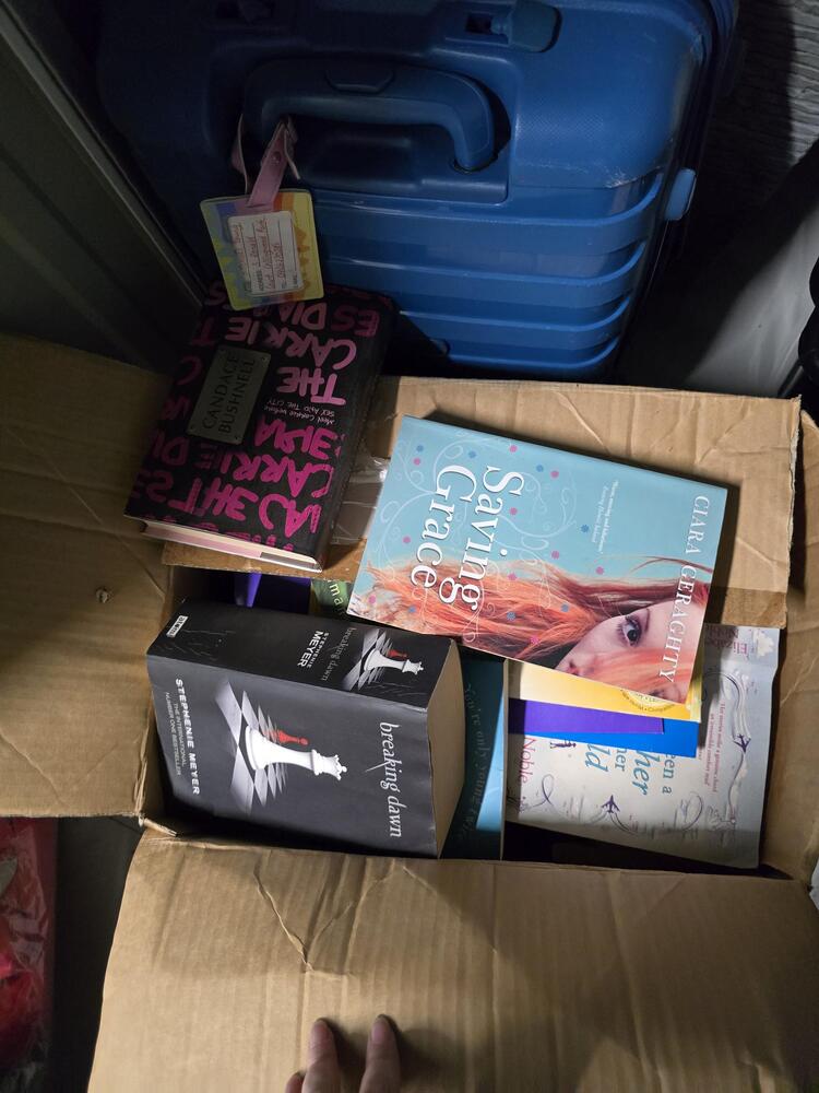 Storage King Redbank Plains Abandoned Storage shed Auctions auction IB-8805