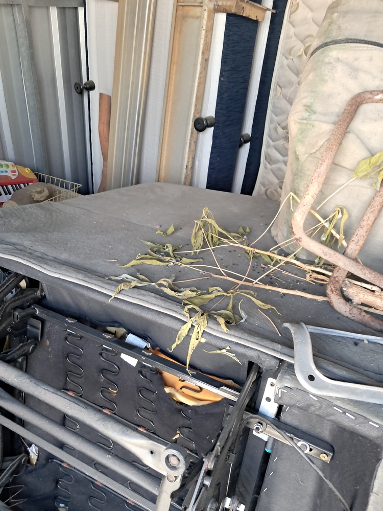 Storage King Morayfield Bid on Storage Unit auction IB-4882