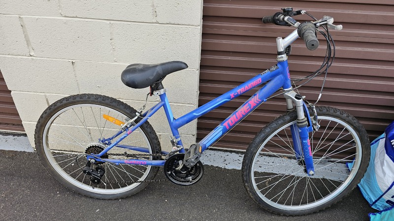 Public Self Storage Hallam Storage Shed Auctions auction IB-4861