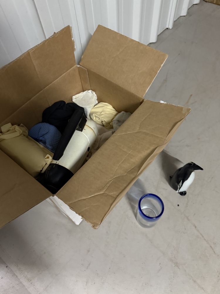 Island Secure Storage Storage Unit auction IB-3378