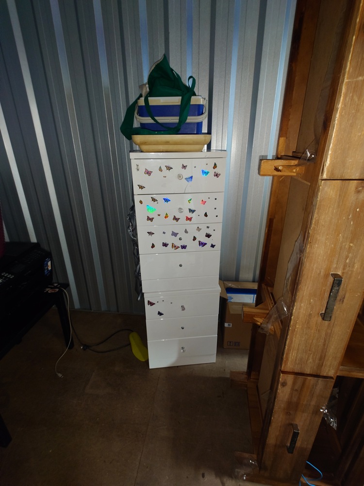 Storage King Revesby Self Storage Facility Unit auction IB-6511