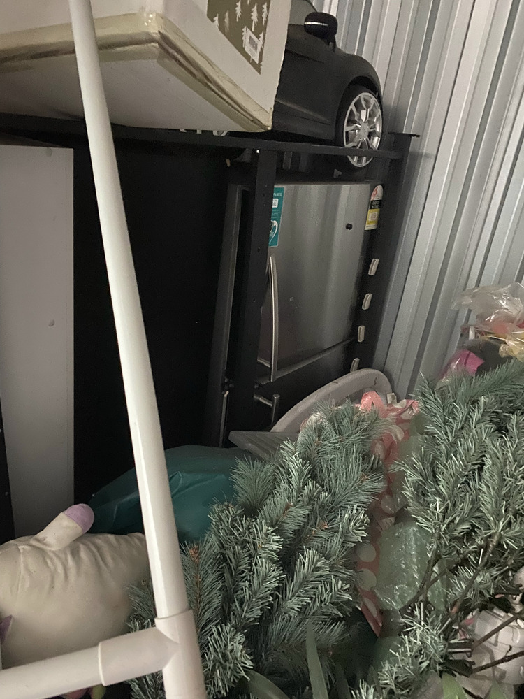 Safe n Sound Glendale Bid on Storage auction IB-4544