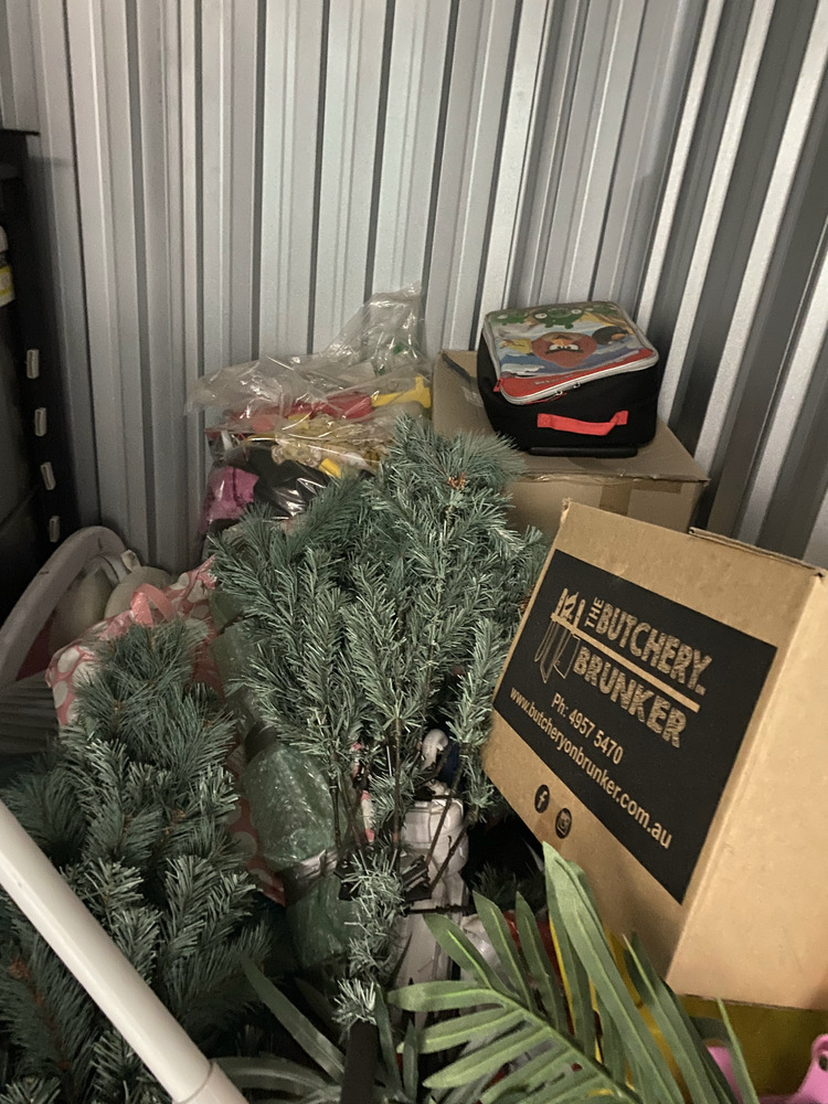 Safe n Sound Glendale Bid on Self Storage Unit auction IB-4544